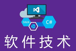 湖南中專軟件技術畢業生升學指南 聚焦軟件外包服務的對口單招學校